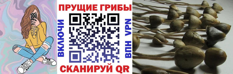 Псилоцибиновые грибы мухоморы  Купить  Наволоки 